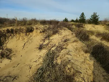 Oostnieuwkerke duinen wandeling in de koude (België)